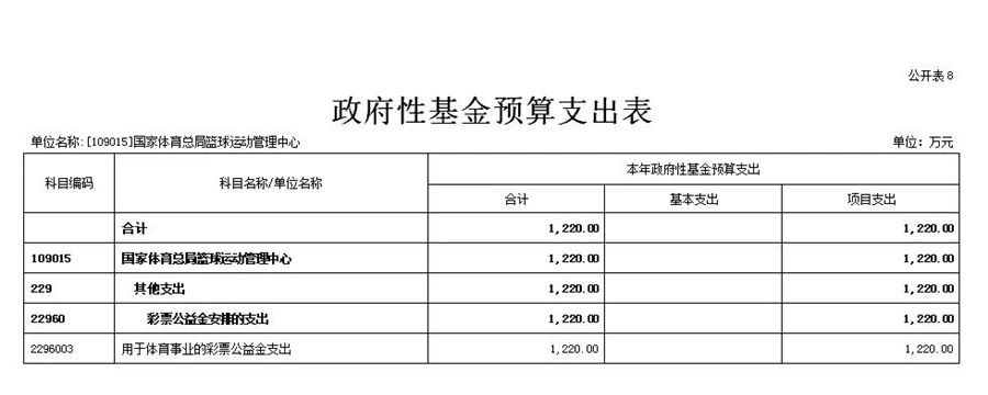 绳梯训练篮球_2